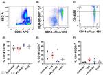 CD14 Antibody in Flow Cytometry (Flow)