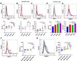 CD54 (ICAM-1) Antibody in Flow Cytometry (Flow)