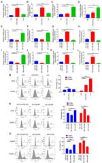 CD86 (B7-2) Antibody in Flow Cytometry (Flow)