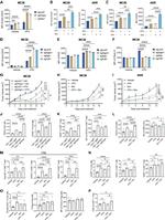 Granzyme B Antibody in Flow Cytometry (Flow)