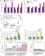 HLA-B7 Antibody in Flow Cytometry (Flow)