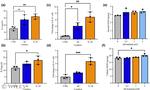 IL-6 Antibody in Flow Cytometry (Flow)