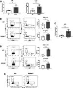 IL-22 Antibody in Flow Cytometry (Flow)