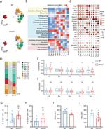 IFN gamma Antibody in Flow Cytometry (Flow)