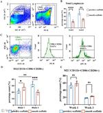 CD45 Antibody in Flow Cytometry (Flow)