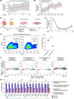 CD31 (PECAM-1) Antibody in Flow Cytometry (Flow)