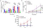 CD33 Antibody in Flow Cytometry (Flow)