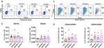 CD33 Antibody in Flow Cytometry (Flow)