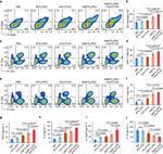 CD80 (B7-1) Antibody in Flow Cytometry (Flow)