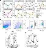 CD11b Antibody in Flow Cytometry (Flow)