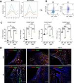 TREM2 Antibody in Flow Cytometry (Flow)