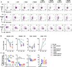 CD314 (NKG2D) Antibody in Flow Cytometry (Flow)