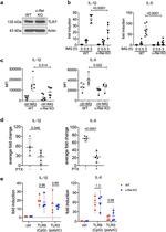 IL-1 beta (Pro-form) Antibody in Flow Cytometry (Flow)