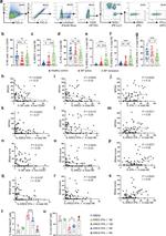 IFN gamma Antibody in Flow Cytometry (Flow)