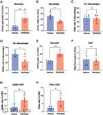Granzyme B Antibody in Flow Cytometry (Flow)