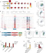 CD235a (Glycophorin A) Antibody in Flow Cytometry (Flow)