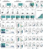 CD34 Antibody in Flow Cytometry (Flow)