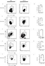 CD86 Antibody in Flow Cytometry (Flow)