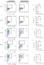 CD86 Antibody in Flow Cytometry (Flow)