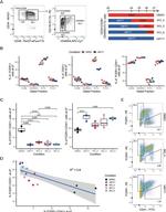 CD38 Antibody in Flow Cytometry (Flow)