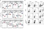 CD117 (c-Kit) Antibody in Flow Cytometry (Flow)