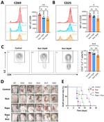 IL-2 Antibody in Flow Cytometry (Flow)