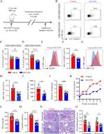 IL-1 beta (Pro-form) Antibody in Flow Cytometry (Flow)