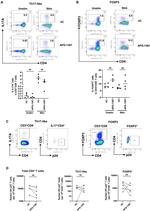 IL-17A Antibody in Flow Cytometry (Flow)