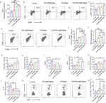 CD8a Antibody in Flow Cytometry (Flow)