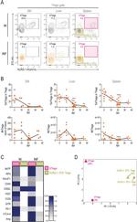 TIGIT Antibody in Flow Cytometry (Flow)