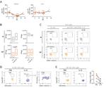CD4 Antibody in Flow Cytometry (Flow)