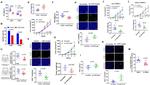 CD8 Antibody in Flow Cytometry (Flow)