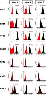 CD44 Antibody in Flow Cytometry (Flow)