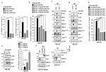 IL-4 Monoclonal Antibody (BVD4-1D11)