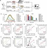 Bcl-2 Antibody in Flow Cytometry (Flow)
