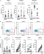 Granzyme B Antibody in Flow Cytometry (Flow)