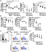 FOXP3 Antibody in Flow Cytometry (Flow)