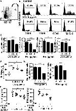 CD4 Antibody in Flow Cytometry (Flow)