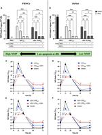 CD44 Antibody in Flow Cytometry (Flow)