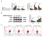 CD68 Antibody in Flow Cytometry (Flow)