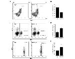 FOXP3 Antibody in Flow Cytometry (Flow)