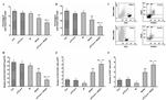 FOXP3 Antibody in Flow Cytometry (Flow)