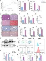 TREM2 Antibody in Flow Cytometry (Flow)