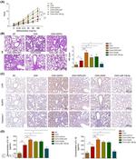 NLRP3 Antibody in Immunohistochemistry (IHC)