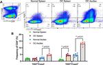 CD4 Antibody in Flow Cytometry (Flow)