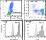 CD8 Antibody in Flow Cytometry (Flow)