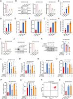 CD8 alpha Antibody in Flow Cytometry (Flow)