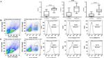 Caspase 1 Antibody in Flow Cytometry (Flow)