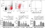 IFN gamma Antibody in Flow Cytometry (Flow)