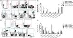 CD11b Antibody in Flow Cytometry (Flow)
